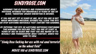 Sindy Rose fucking her ass with anal terrorist on the wheat field